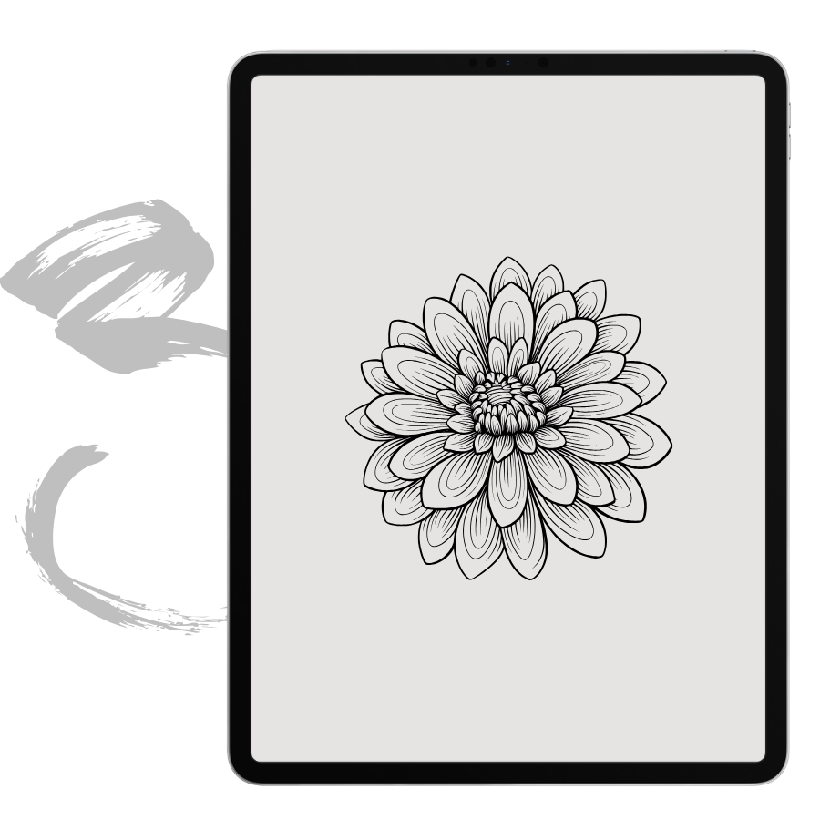 rose on an iPad to simulate an illustration in Procreate