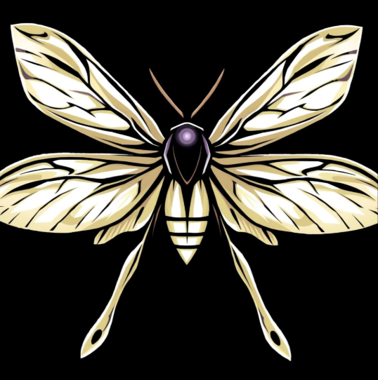 insect with black, gold, and yellow coloring submitted by customer